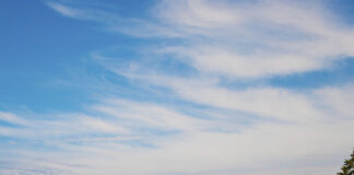 A Weekend Getaway to Whidbey & San Juan Island Lime Kiln Lighthouse, Lime Kiln Point State Park