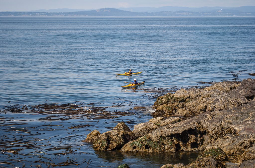 Kayak at Lime Kiln Point State Park