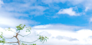 Road Trip Cooler Packing Like a BOSS Cooler Packing Like a Boss for Your Road Trip