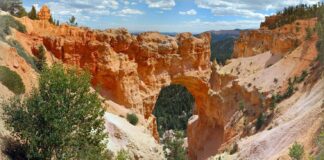 Best Scenic Drives in Utah Bryce Canyon Scenic Drive