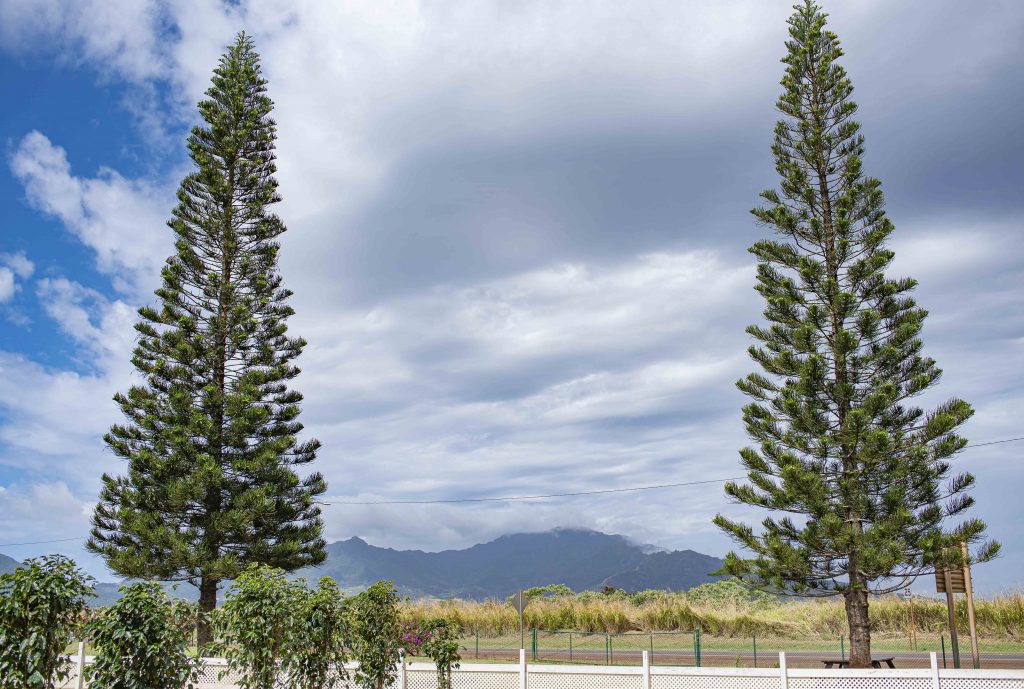 Stainless steel tumblers – Green World Coffee Farm