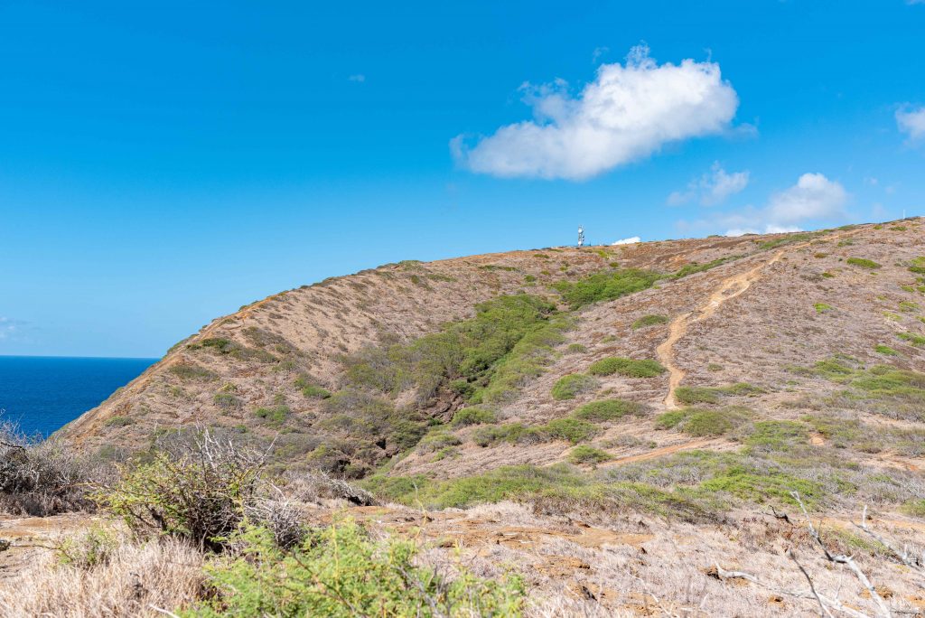 Hanauma Bay Ridge Trail