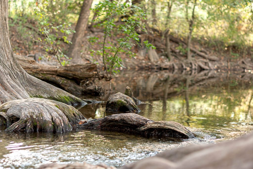 Guadalupe River near Canyon Lake