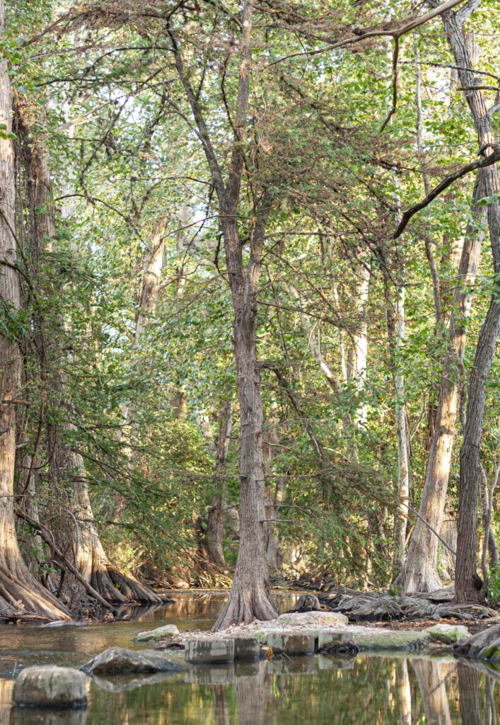 Guadalupe River near Canyon Lake