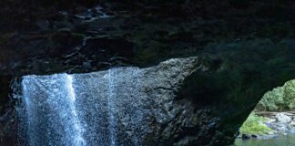 7 Unmissable Experiences Near The Gold Coast, Australia Gold Coast Australia Attractions