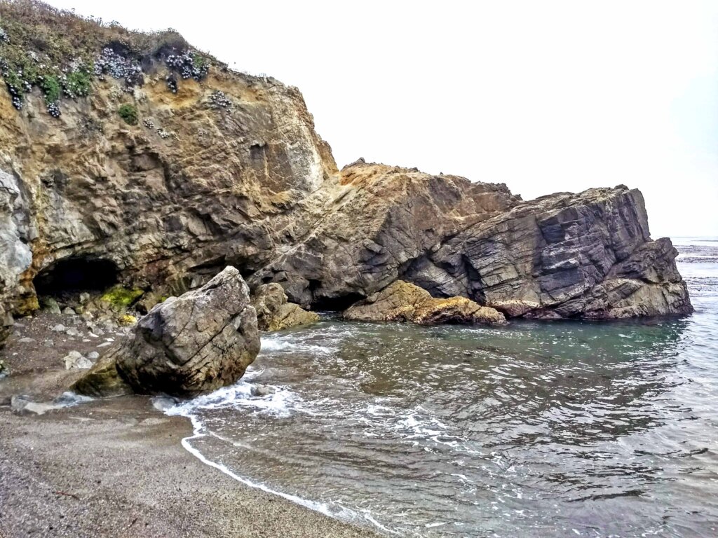 Point Lobos State Natural Reserve