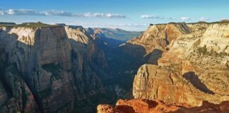 Zion National Park: 7 Useful Things to Know Before Visiting Observation Point Zion National Park
