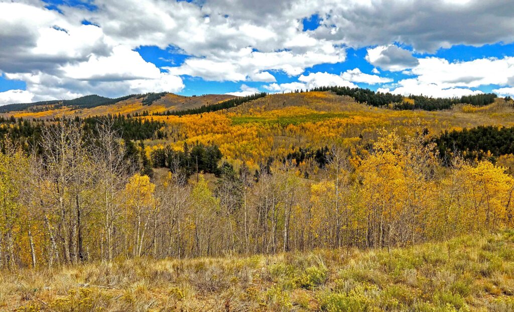 Colorado Road Trip Fall Colors
