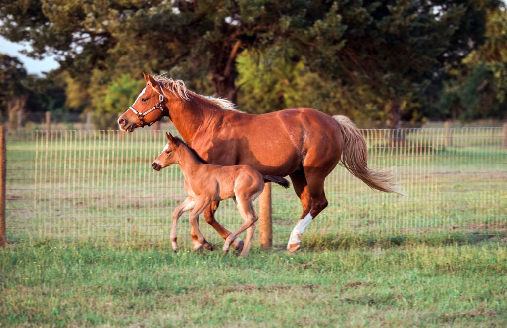 Shutter Speed Photo Tips