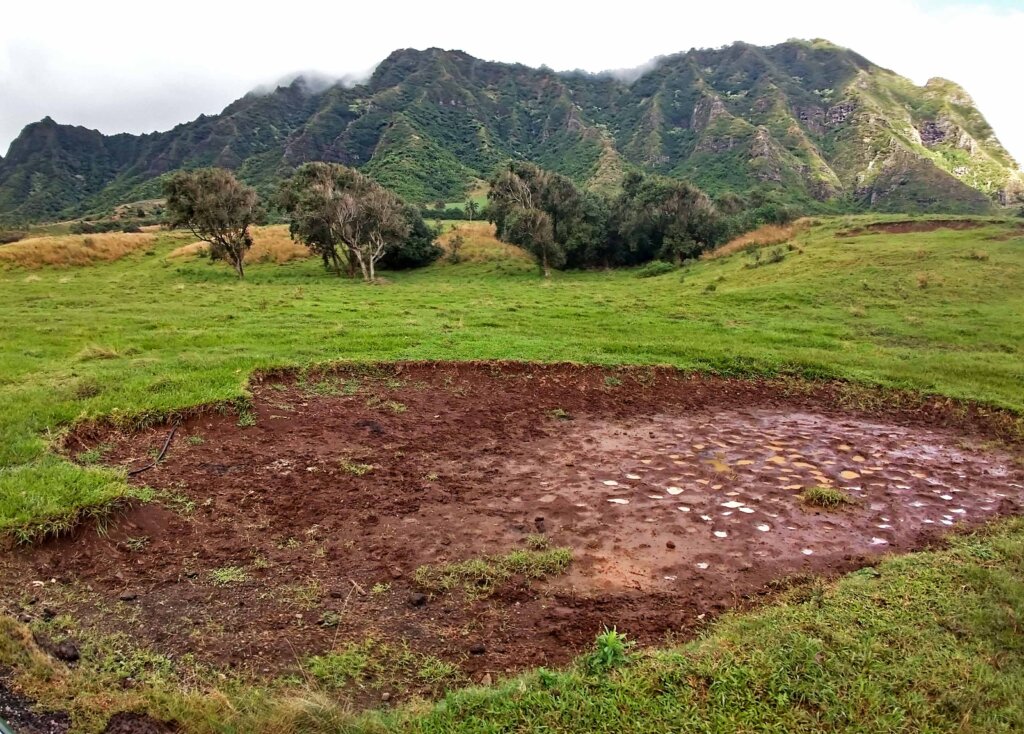 Godzilla Foot Print Kualoa Ranch