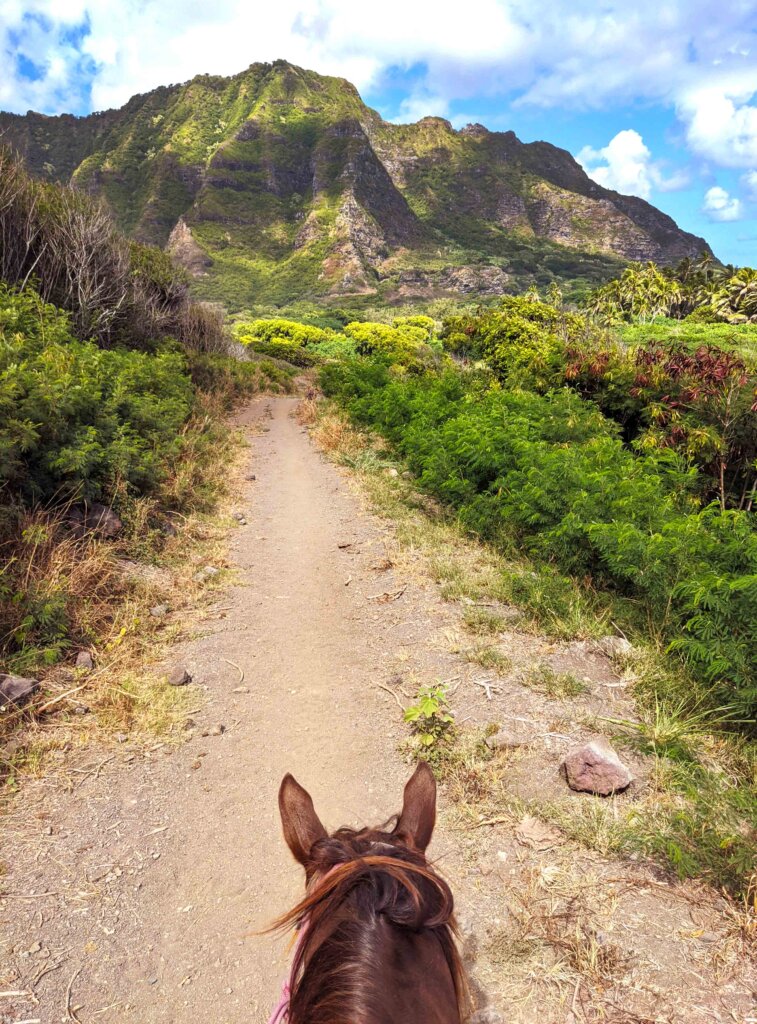 Horseback Walking Tour Kualoa Ranch