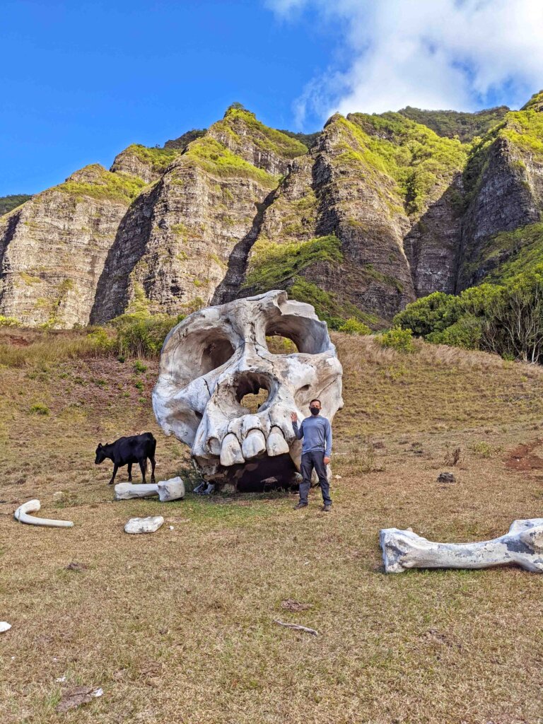 Kong Skull Island Kualoa Ranch