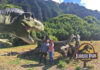 The Best Tours at Kualoa Ranch Jurassic Park Fallen Tree