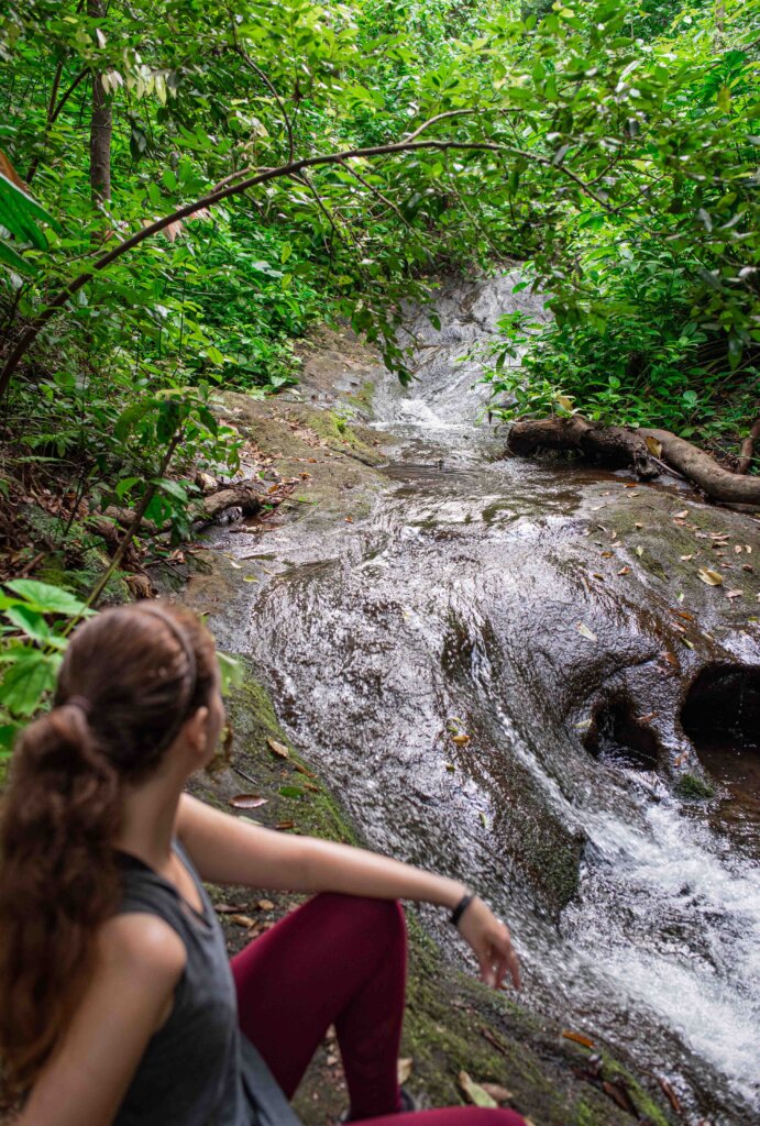 Kanealole Loop Trail Hiking in Hawaii