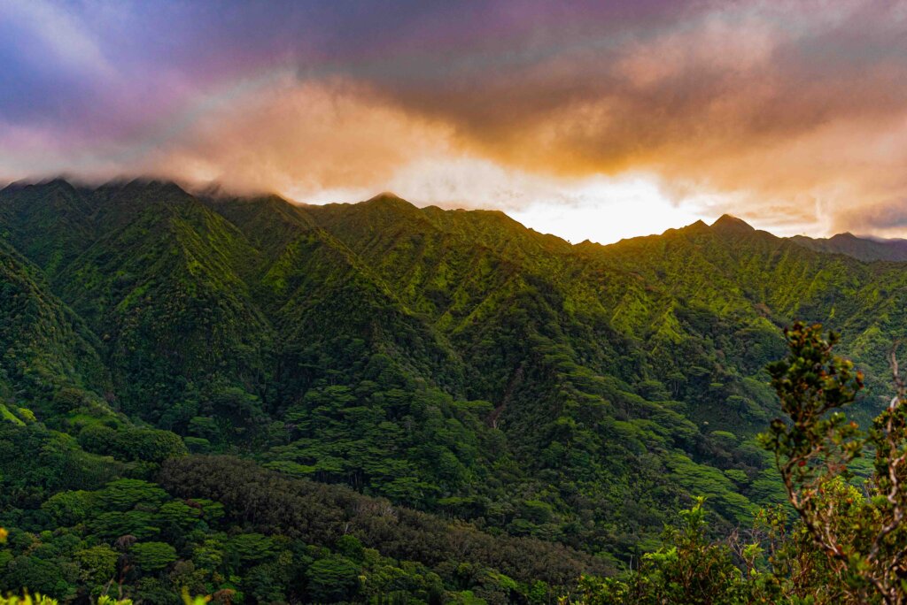Manoa Cliffs Hiking Trail Oahu