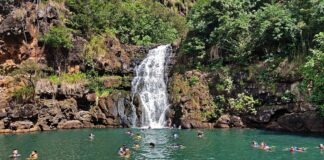 14 Amazing Hiking Trails in Oahu Waimea Falls Hiking Trails Oahu