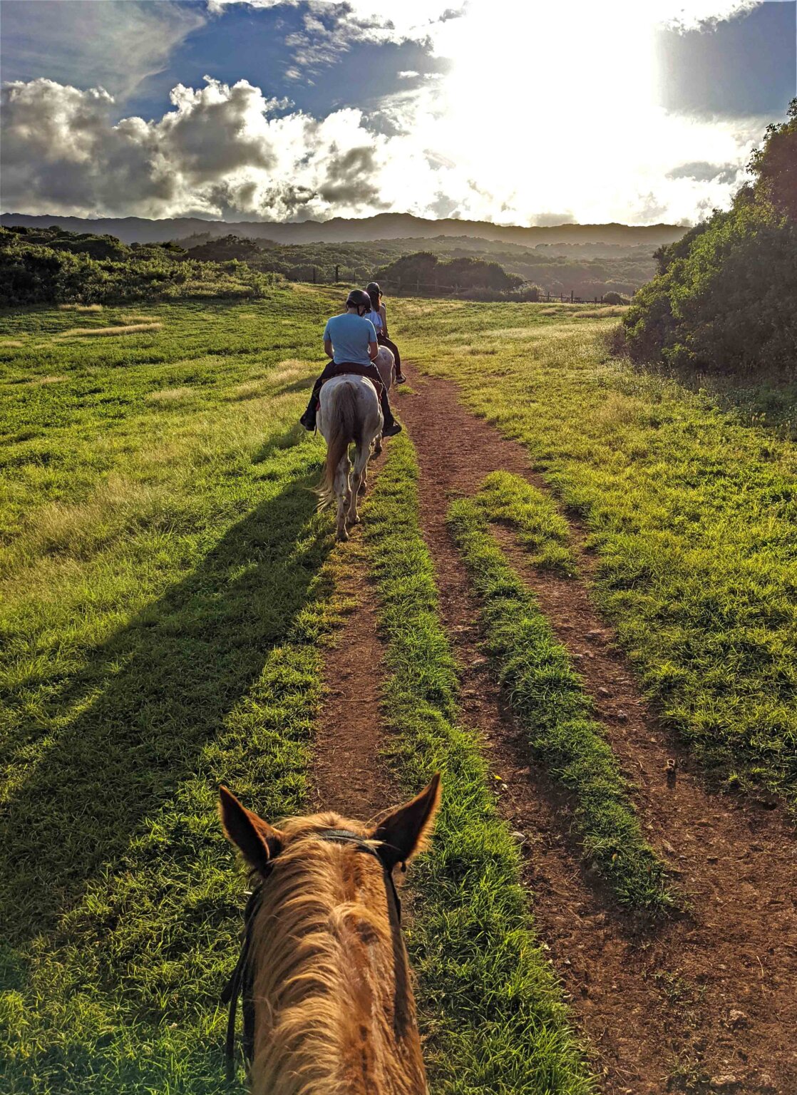 The Most Incredible Horseback Riding Tours In Oahu - The Golden Hour ...