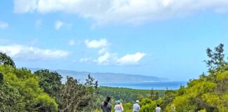 The Most Incredible Horseback Riding Tours in Oahu Happy Trails Oahu Horseback Riding