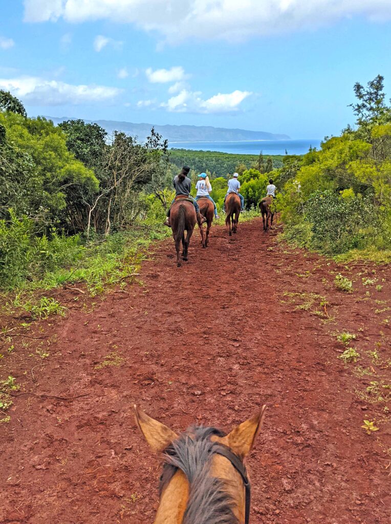 Happy Trails Oahu Horseback Riding