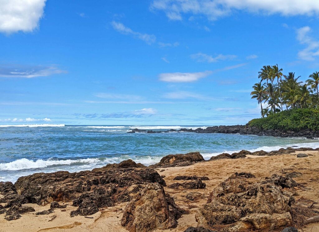 Laniakea Turtle Beach Snorkeling in Oahu
