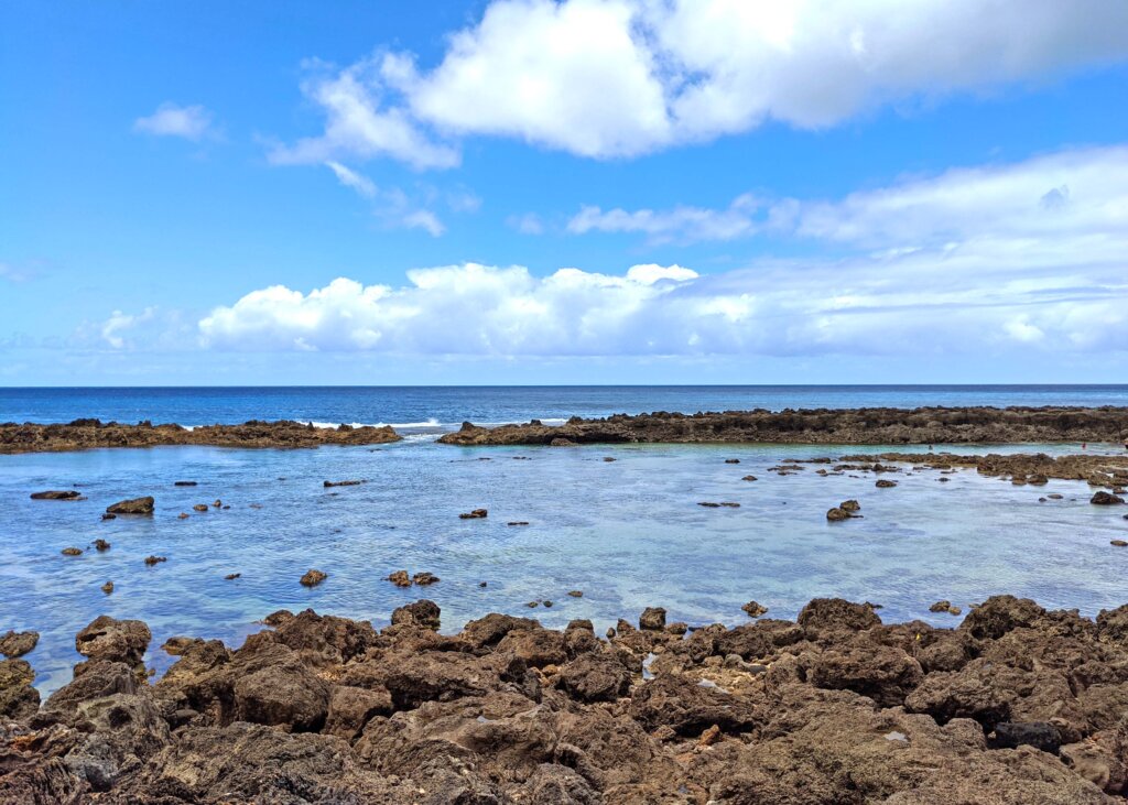 Sharks Cove Snorkeling in Oahu