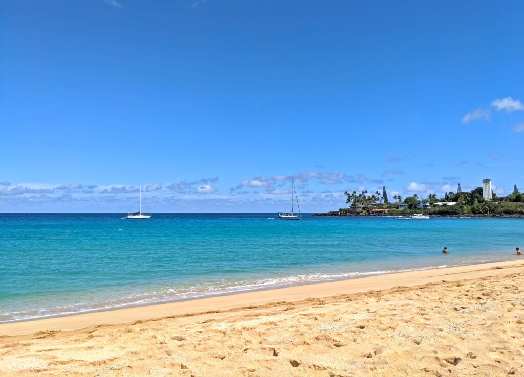 Waimea Bay Snorkeling in Oahu