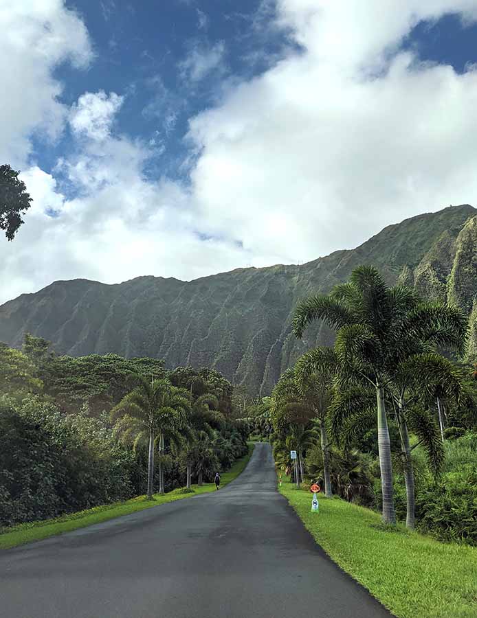 Hoomaluhia Botanical Garden in Oahu Hawaii