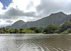 The Best Botanical Gardens in Oahu Hawaii - The Golden Hour Adventurer