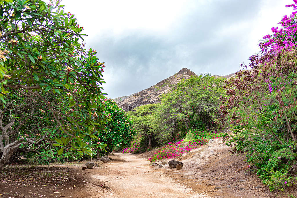 Koko Crater Botanical Garden