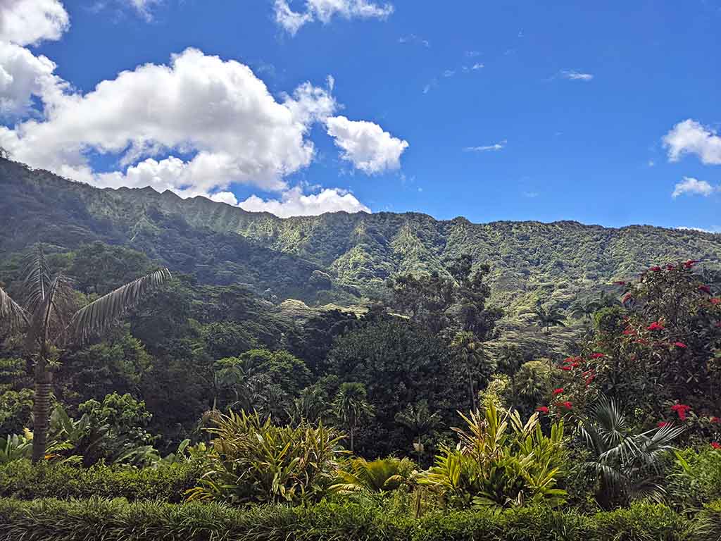 Lyon Arboretum in Oahu Hawaii