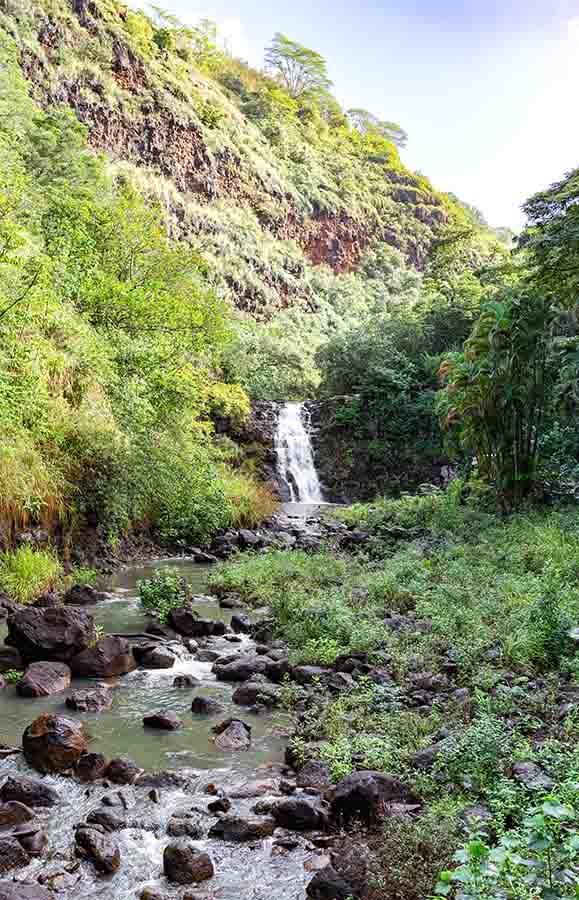 Waimea Waterfall Botanical Garden Oahu Hawaii