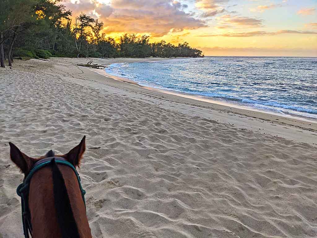 Oahu Bucket List Experience Horseback Ride on the Beach