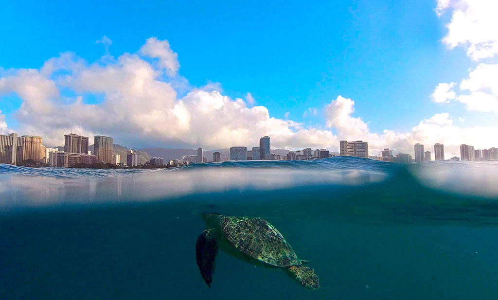 bucket list tour hawaii