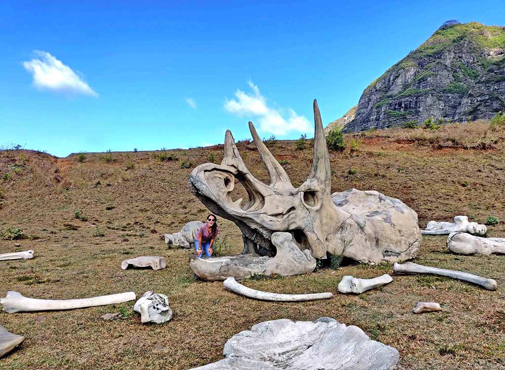 Oahu Bucket List Experience Visit Jurassic Park