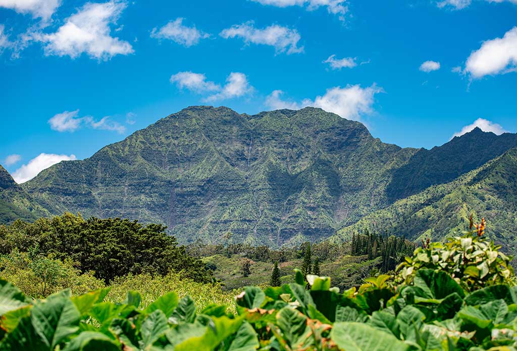 Hanalei National Wildlife Refuge Kauai