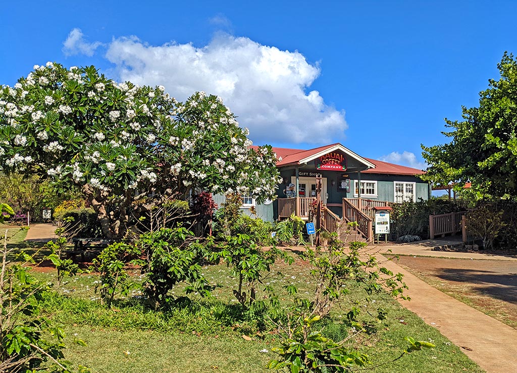 Kauai Coffee Company