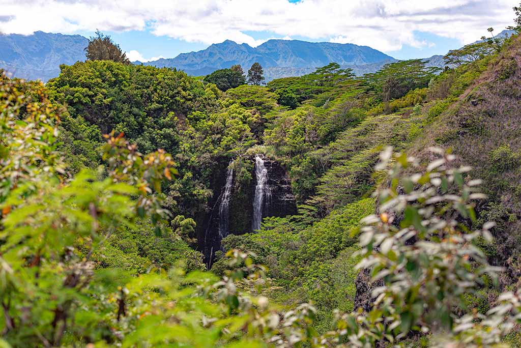 Opaekaa Falls Kauai