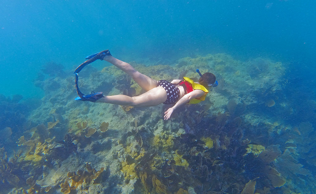 How to Dive When Snorkeling