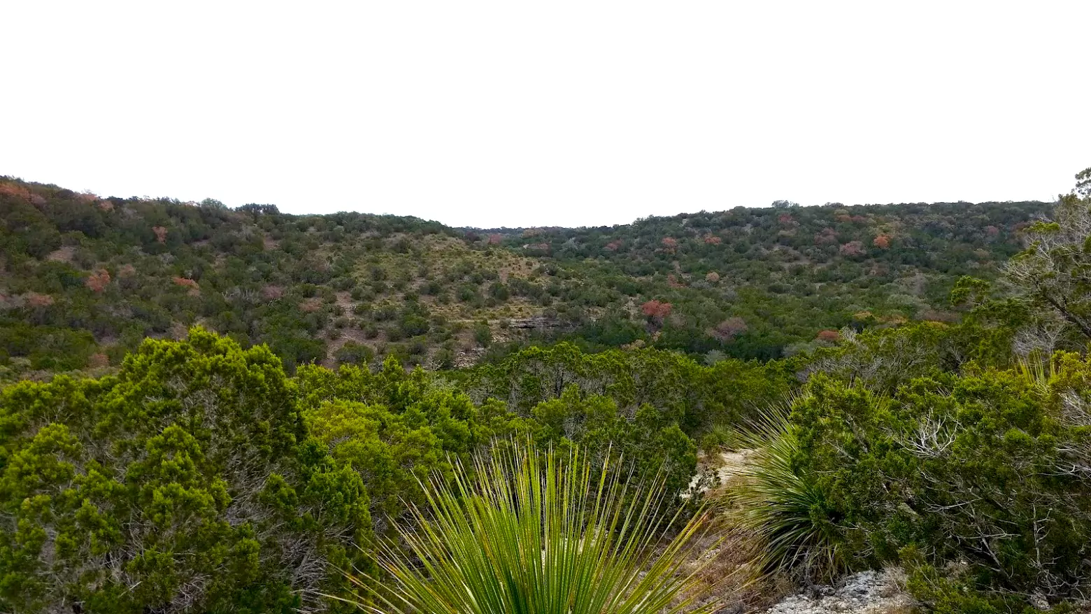 Spring Branch Trail hiking in Texas