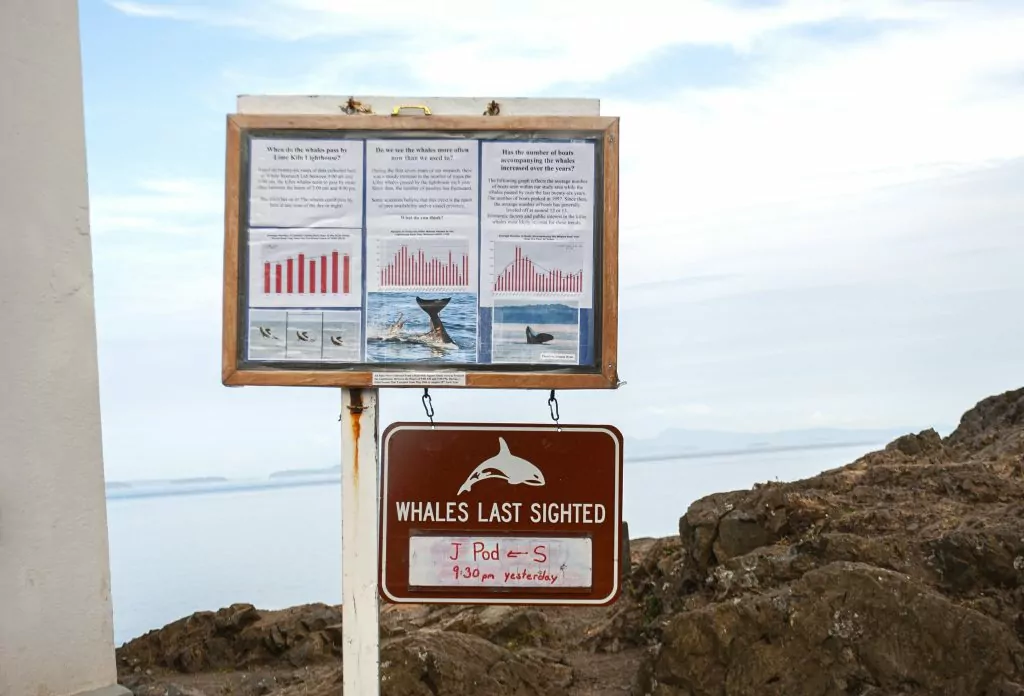 Lime Kiln Lighthouse Whale Watching Board