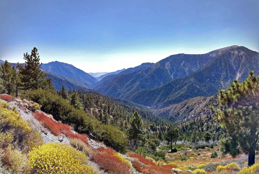 Angeles National Forest California Road Trip