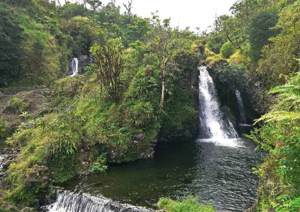 Road to Hana Upper Hanawi Falls Maui Hawaii Vacation