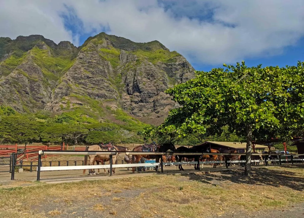 Horseback Riding in Oahu