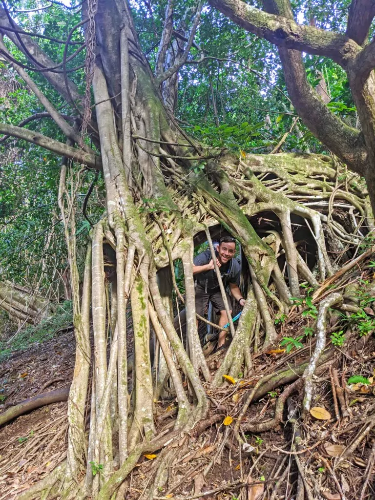 Makiki Valley Hiking Trails Oahu